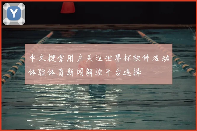 中文搜索用户关注世界杯软件活动体验体育新闻解读平台选择