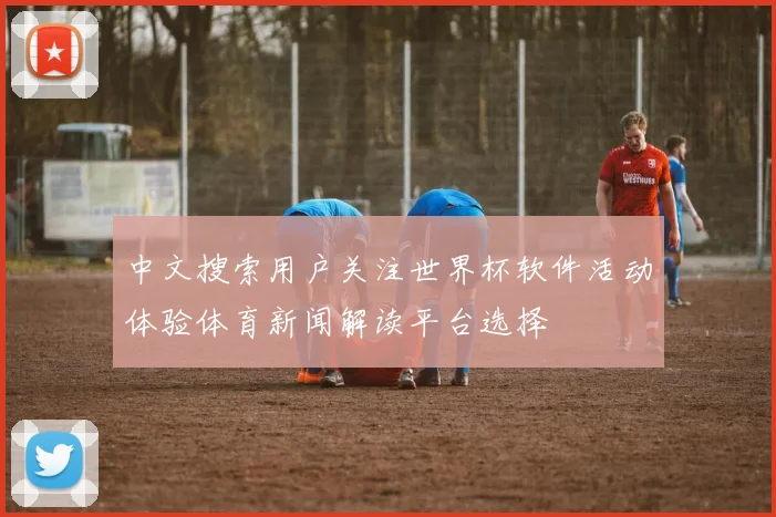 中文搜索用户关注世界杯软件活动体验体育新闻解读平台选择