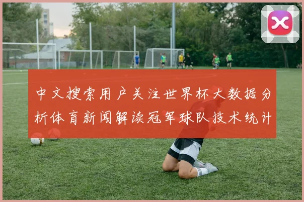 中文搜索用户关注世界杯大数据分析体育新闻解读冠军球队技术统计